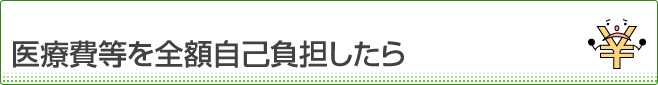 医療費等を全額自己負担したら