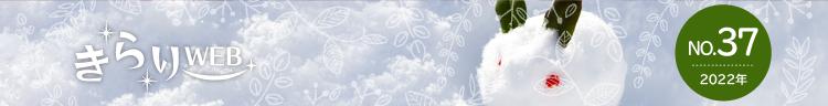 きらりweb