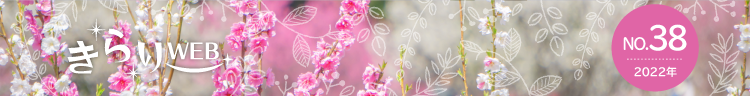 きらりweb
