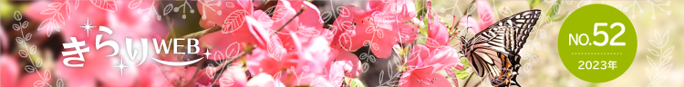 きらりweb