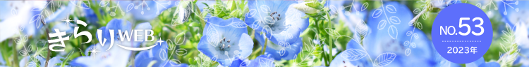 きらりweb