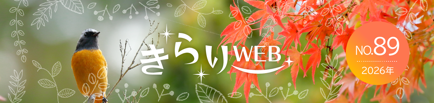 きらりweb